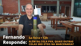 #15 Novo Fernando Responde: Além da cola PVA, quais outras colas são úteis na marcenaria?