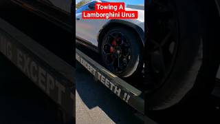 Towing A Lamborghini Urus Viral Towing Short Shorts Viralvideo Wrecker Fail Rollback Winchout Wreck.