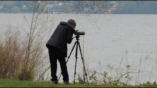 Birding etc.  at Magnuson Park, April 5, 2024