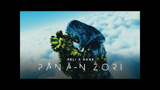 Feli & NANEmernic - Până-n zori(lyrics)