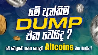 මේ Dump එකේදී ගන්න හොඳම Altcoins මොනවද ?