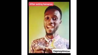 BANANA PEELS FERTILIZER. Check description below after watching the video.