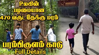 World Oldest Teekwood History II Prambikulam Forest Fully Explained