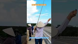 Bão cá chim biển Florida #fishing #cauca #fish #pompano #fishinglife #câucá #fishingvideo