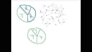 Concerted & Sequential Models - Allosteric Enzymes