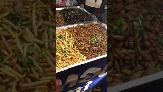 Scorpions, centipedes and grubs. Chinatown Bangkok 2023