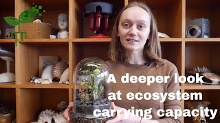 Deeper look at ecosystem carrying capacity | Earth Processes | meriSTEM