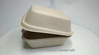 bagasse tableware,bagasse plate,Biodegradable food container,China vendor,High Quality