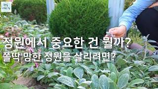 정원에서 중요한 건 뭘까?😁/쫄딱 망한 정원을 살리려면?/가드닝  정원가꾸기 식물키우기 정원꾸미기