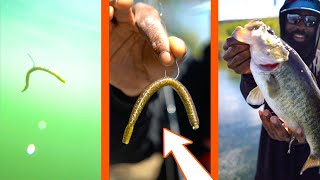 Why Is The Wacky Rig So GOOD? | Fishing Tips with Brian Latimer