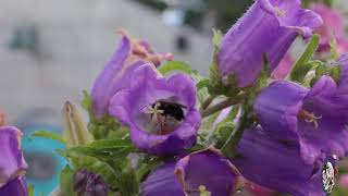 Visit Bloomers today and let your home bloom with beauty...#Nursery #Greenhouse #Landscape #Garden