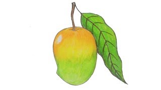 How to draw Mango for kids very easy drawing