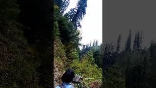 Pakistan is beautiful #travelling #sharanforest #trendingshorts #ebrahimfacho