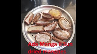 ADA MANGA II SUN DRIED MANGOES METHOD 1