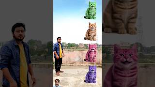 #funny #cat #animals #comedy #catlover #catlover #shortsfeed #vfxmantu #monkeycomedy #vfxupendra #ca