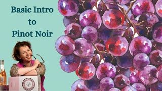 Basic Intro to Pinot Noir