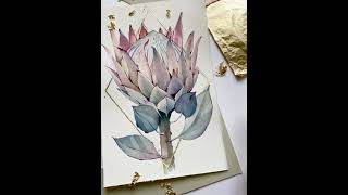 Protea