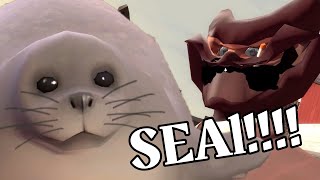 Seal!!!! (Thanksgiving Special!)