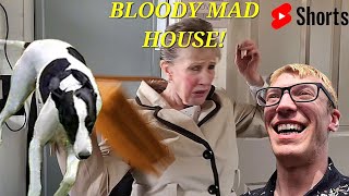 BLOODY MAD HOUSE!