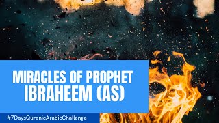 Day 6: Miracles Of Prophet Ibraheem (AS) | 7 Day Quranic Arabic Challenge