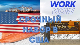 🚨 СРОЧНО НАБИРАЕМ ГРУППУ ДЛЯ РАБОТЫ В США! 🇺🇸