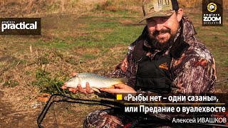 «Рыбы нет – одни сазаны», или Предание о вуалехвосте. Алексей Ивашков. Anglers Practical