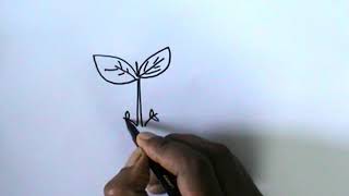 HOW TO DRAW A LEAF