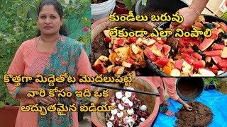 కుండీలు బరువు లేకుండా ఎలా నింపాలి||old soil + kitchen waste and fruits waste easily grow vegetables