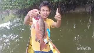 Alhamdulillah bayak lagi dapat ikan kakap besar, yg kena jaring