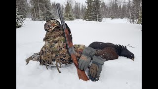 Путешествие на Кольский в поисках глухаря. Часть 2.