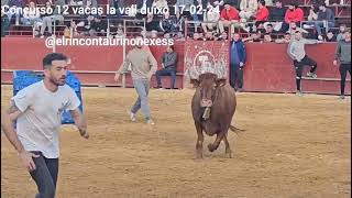 concurso doce vacas la Vall de Uxó 17 febrero 2024