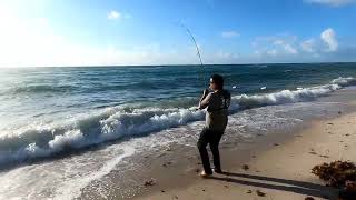 Pesca en Miami Beach con un amigo YouTube