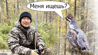 Первые попытки охоты на рябчика осенью. Прогулка по лесу