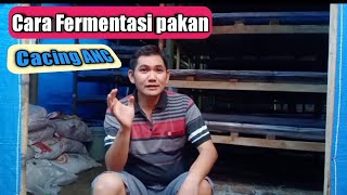 Cara Fermentasi Pakan Ternak cacing#ampas tahu || andre bandungan