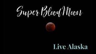 Live Alaska | Super Blood Moon