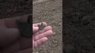 Неведомое нечто на копе #shorts #другаяжизнь #metaldetecting #находки #неведомоенечто #коп