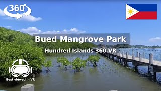 Hundred Islands Bued Mangrove Park Walk: 360 VR Experience | June 2024 | Insta360 X4