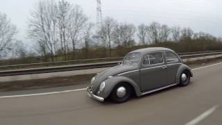 Clique53's Beetle