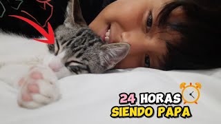 24 horas siendo papa de un gato