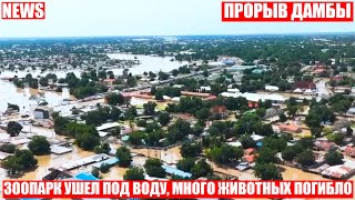 Кладбища и свалки размыты, зоопарк утонул - прорыв дамбы в Нигерии