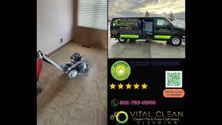 Deep Carpet Cleaning by Vital Clean LLC | Remove Stains and Revive Your Home!