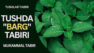 TUSHDA BARG TABIRI | TUSHDA BARGNI KO'RSA TABIRI NIMA BO'LADI..!