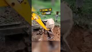 Crane Worker Helps a Stuck Elephant 🥺