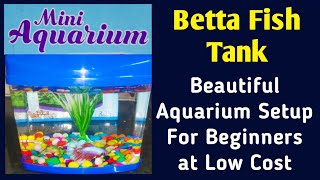 Betta Fish Tank Setup Ideas in Tamil | Budget Aquarium Setup for Beginners | Mini Betta Fish Tank