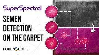 SuperSpectral: Your side-kick on so many levels!