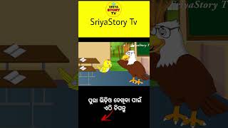 manu school re soichi || odia gapa || tiki chadhei gapa || odia cartoon || odia moral story