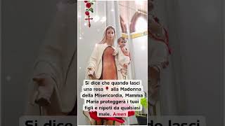 Lasci una rosa🌹alla Madonna della Misericordia, proteggerà i tuoi figli e nipoti da qualsiasi male,