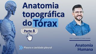 Anatomia do tórax - Parte 8 - Pleura e cavidade pleural