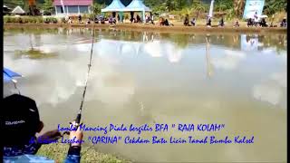 Strike...!!!! Ikan bawal 4,2 kg