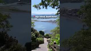 My solo travel vlog in Jeju Island, Korea by bus is up! 🚌 Link in comments ⬇️ #shorts